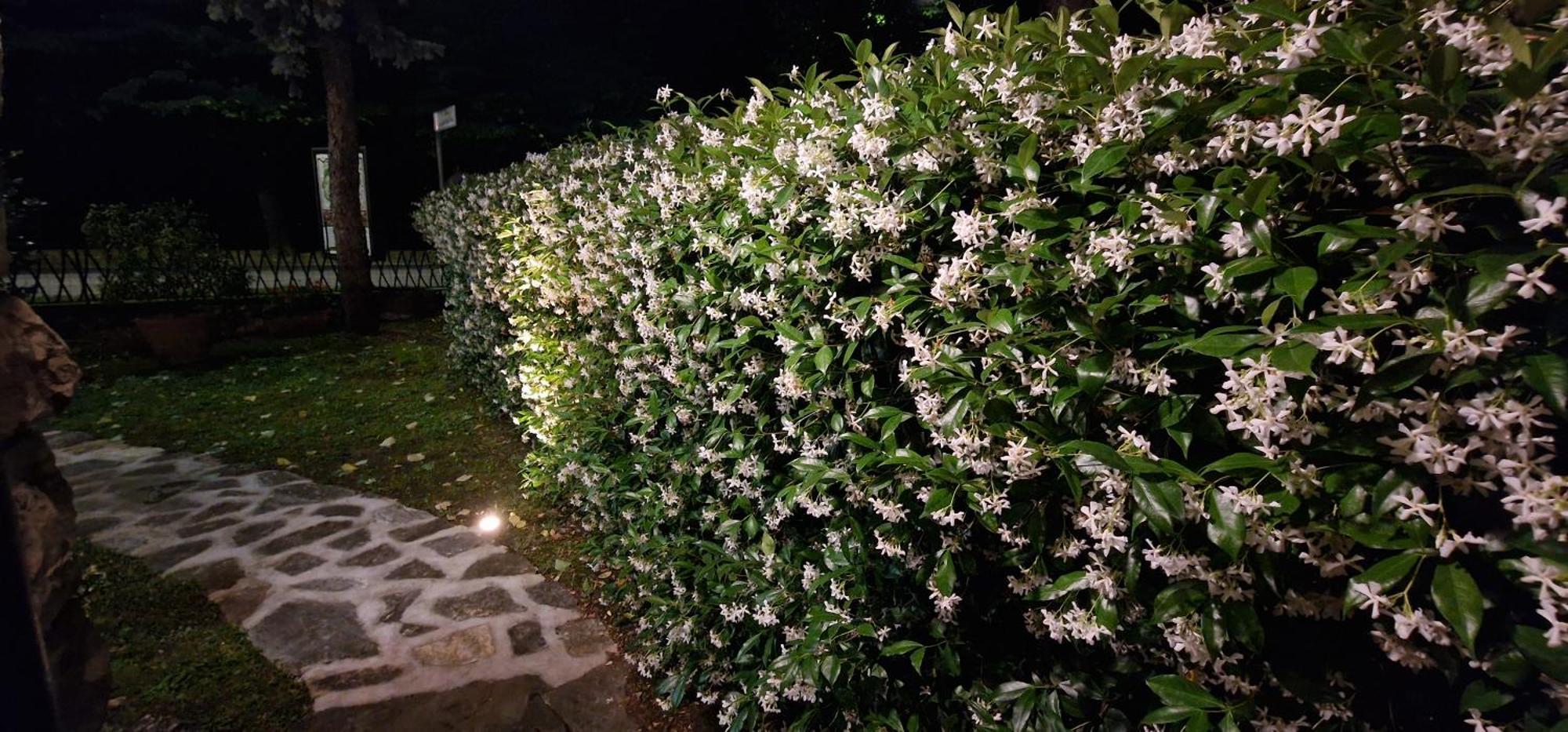 لوكا B&B Casa Tessieri المظهر الخارجي الصورة